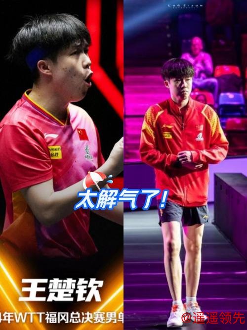 乒乓亚锦赛王楚钦横扫张本智和 中国3-0日本进4强