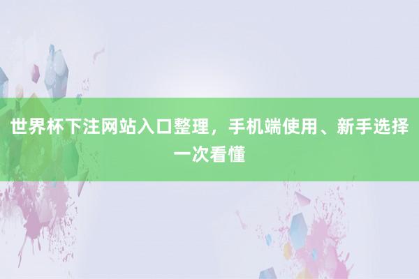 世界杯下注网站入口整理，手机端使用、新手选择一次看懂